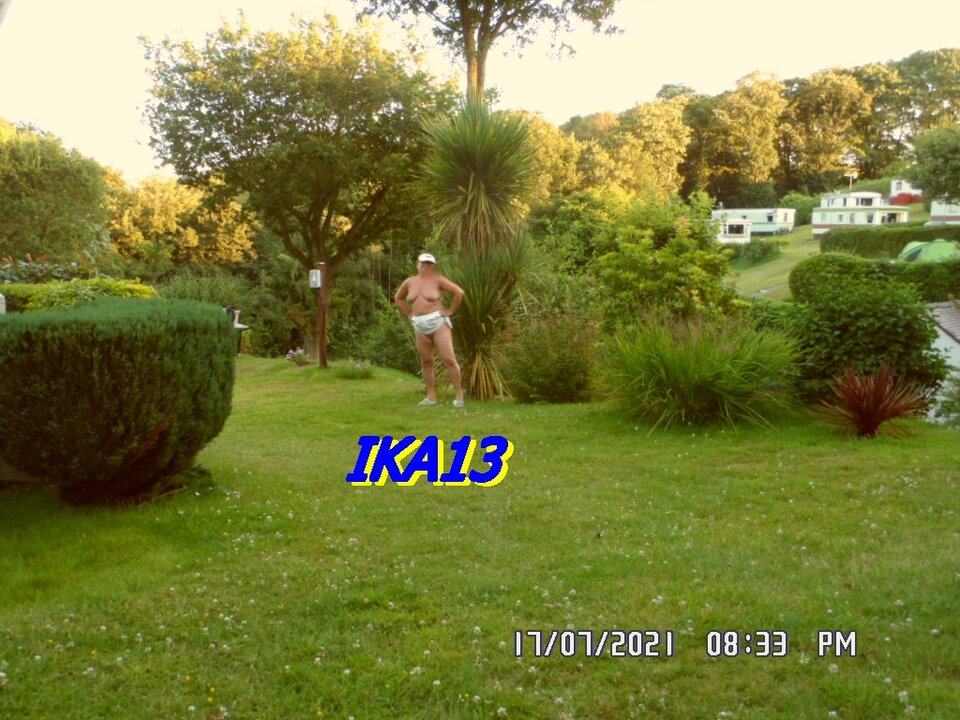 SAM_3647.JPG - ika13