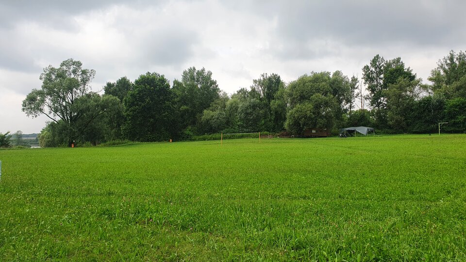 Leniwy poranek w Antoszovicach... - 7979para