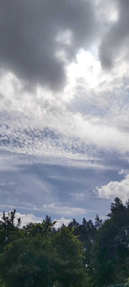 16266029706506298243965087907591.jpg - paraolsztyn11