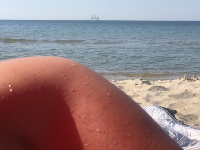 pomarancze37