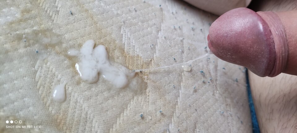 IMG_20210719_153240.jpg - cinek994