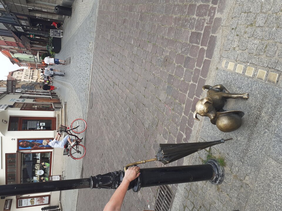 20210714_145827[1].jpg - grabi_en