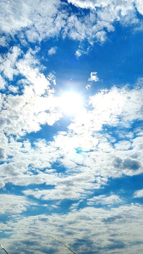 20210720_165633.jpg - Kulfon_i_Monika