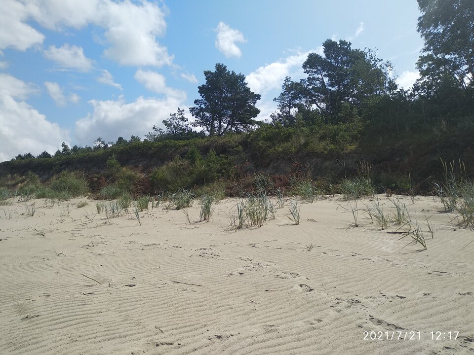 IMG_20210721_121740.jpg - paaul