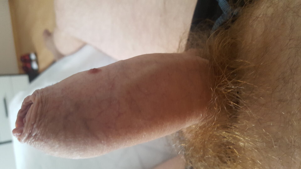 20210721_153924.jpg - BARTEZ76