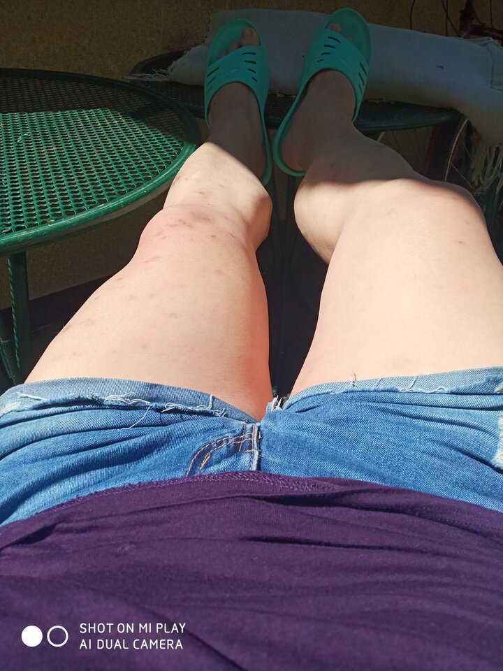 IMG_20210520_133554.jpg - WirtualnaPieszczoszka