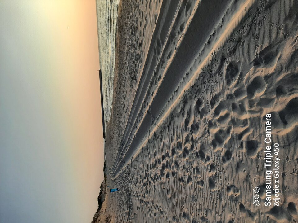 20210722_202551.jpg - dyskretnykosz