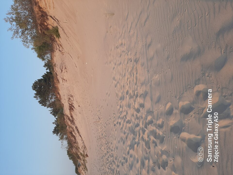 20210722_202548.jpg - dyskretnykosz