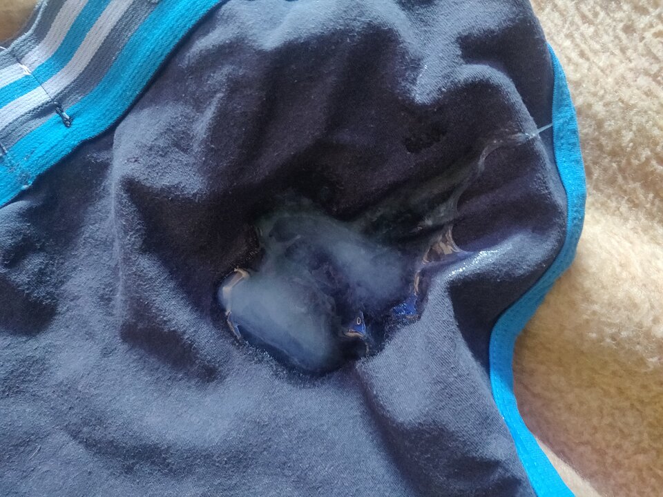 IMG_20210724_124811.jpg - fajnykutasek25