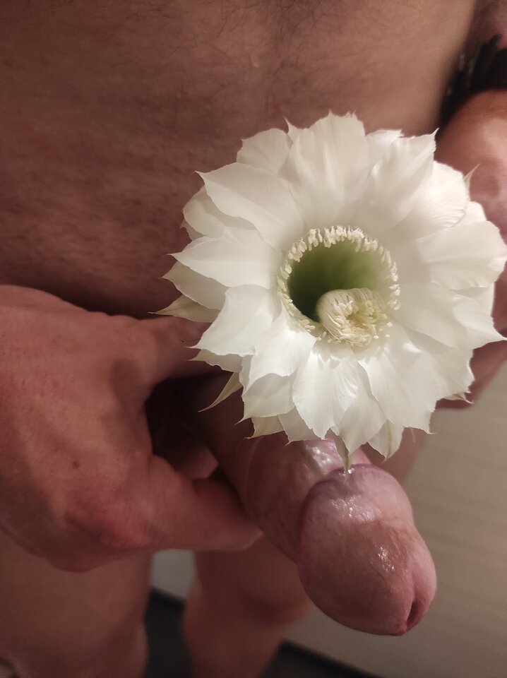 IMG_20210724_204510.jpg - DevilCouple