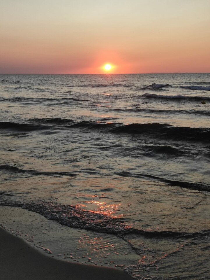 IMG-20210724-WA0001.jpg - matyldaoni