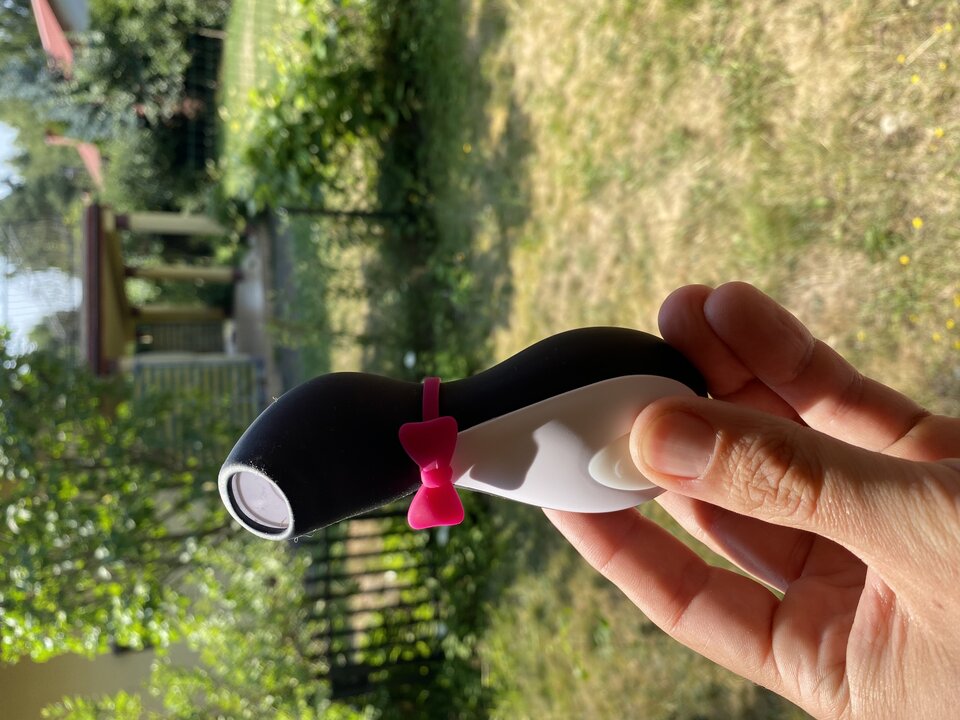 1577FE8D-AF11-4653-A701-3C83F2D3E698.jpeg - Zooluss