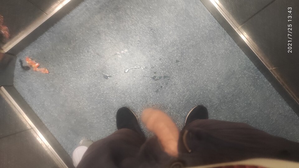 IMG_20210725_134338.jpg - Rocik