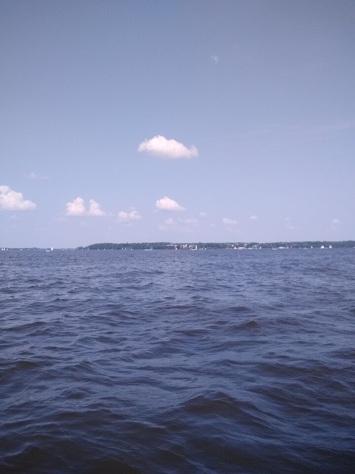 IMG_20210725_130431352.jpg - wawamybi