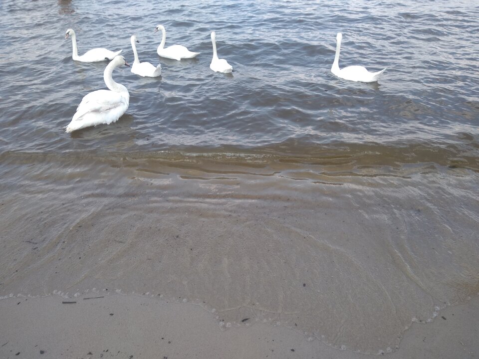 IMG_20210725_135742899.jpg - wawamybi