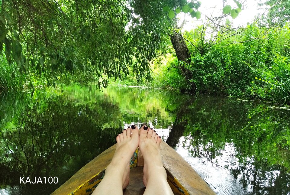 IMG_20210725_150748.jpg - KAJA100