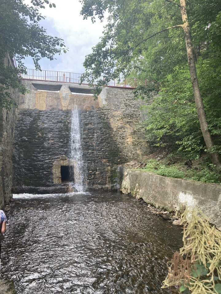 Roztocze c.d - IIroniaa