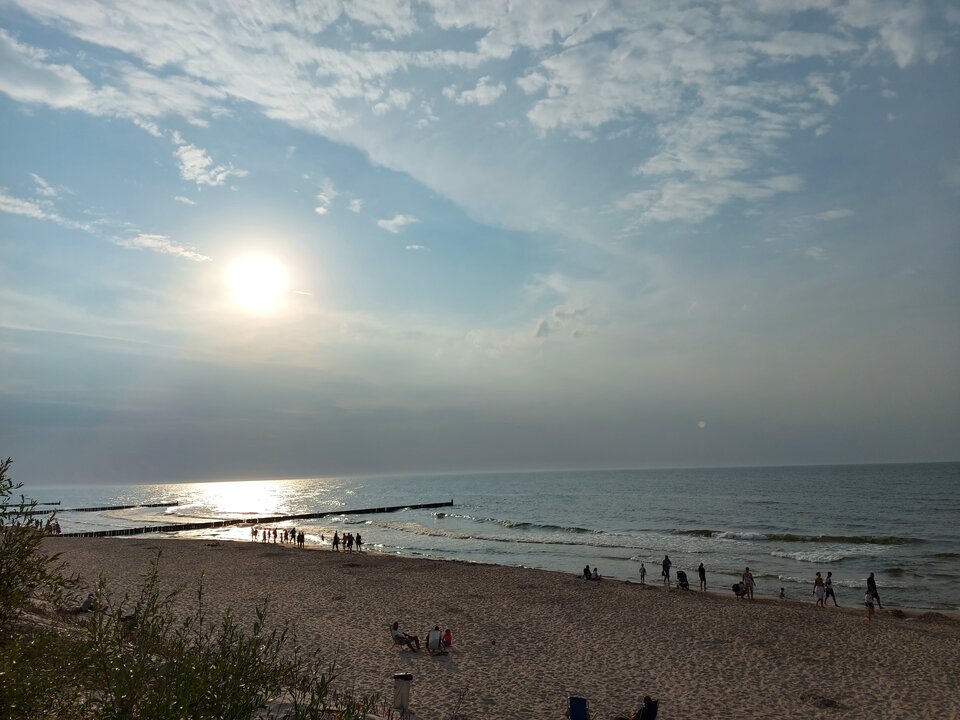 20210725_190323.jpg - A7REPPU