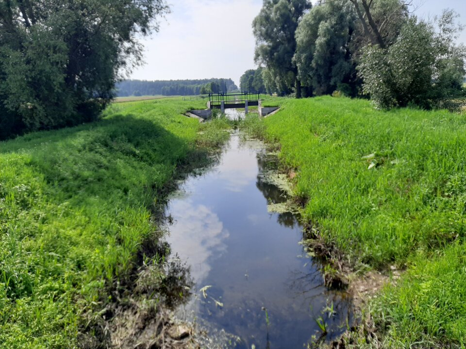 16272896504815938602807833694575.jpg - Mich1977
