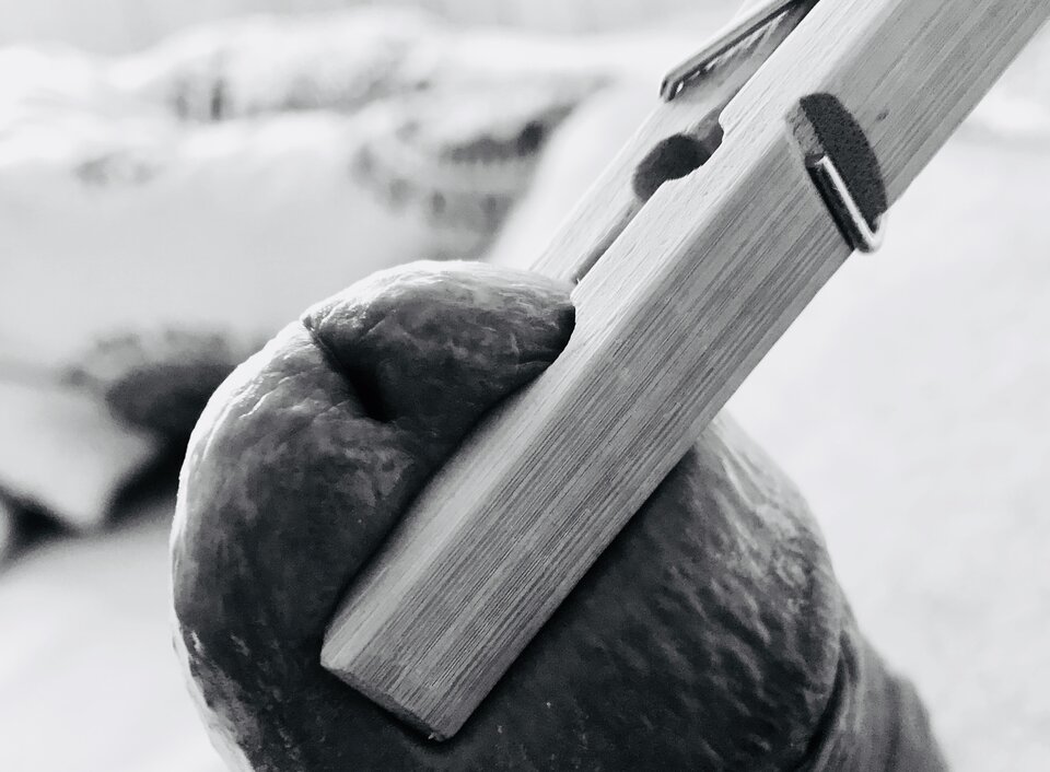 919EE78F-CEC1-4875-A481-36C82D12D41A.jpeg - Moechus71