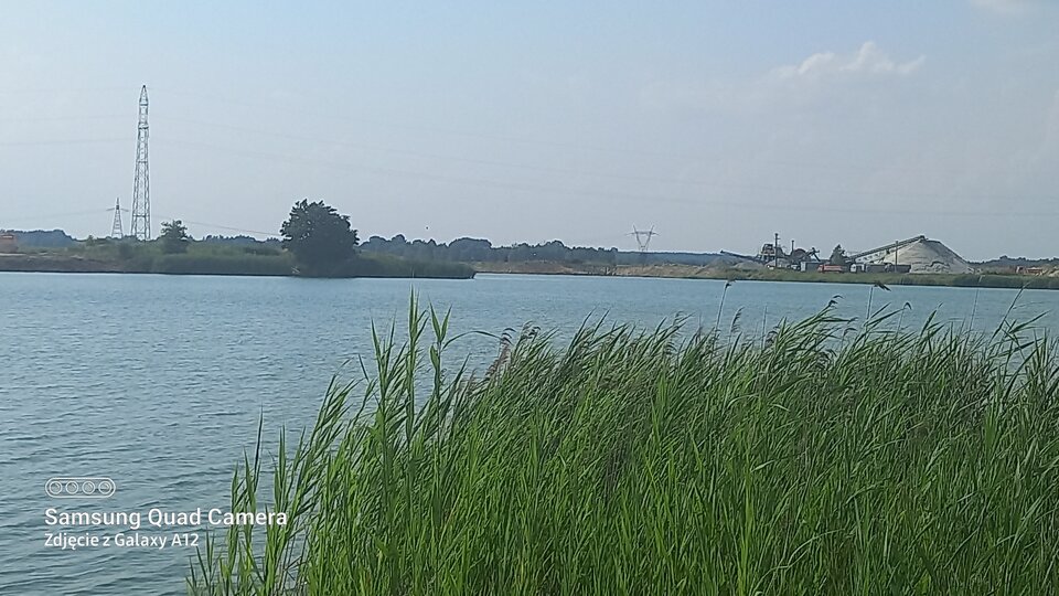 20210726_154012.jpg - amfeti35