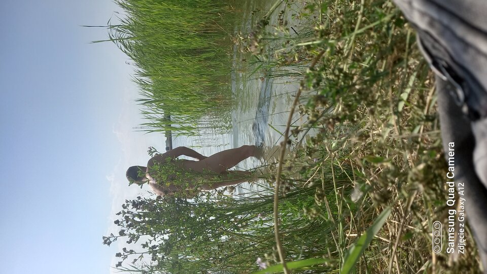 20210726_154745.jpg - amfeti35