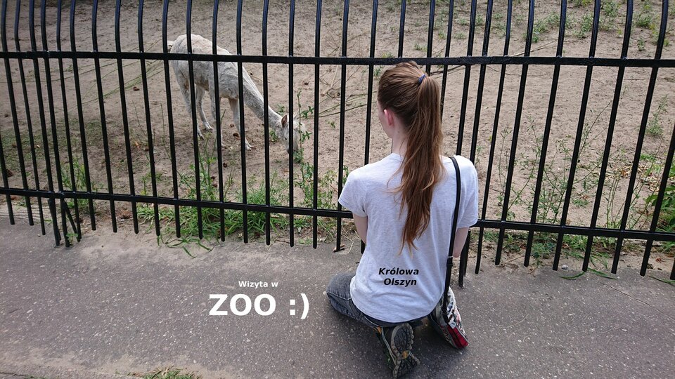 2021-07-26 DSC_2804.jpg - KrolowaOlszyn