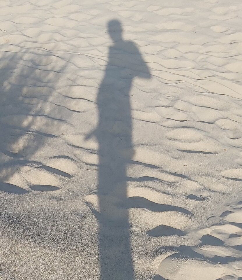 20210715_181142.jpg - milybipan