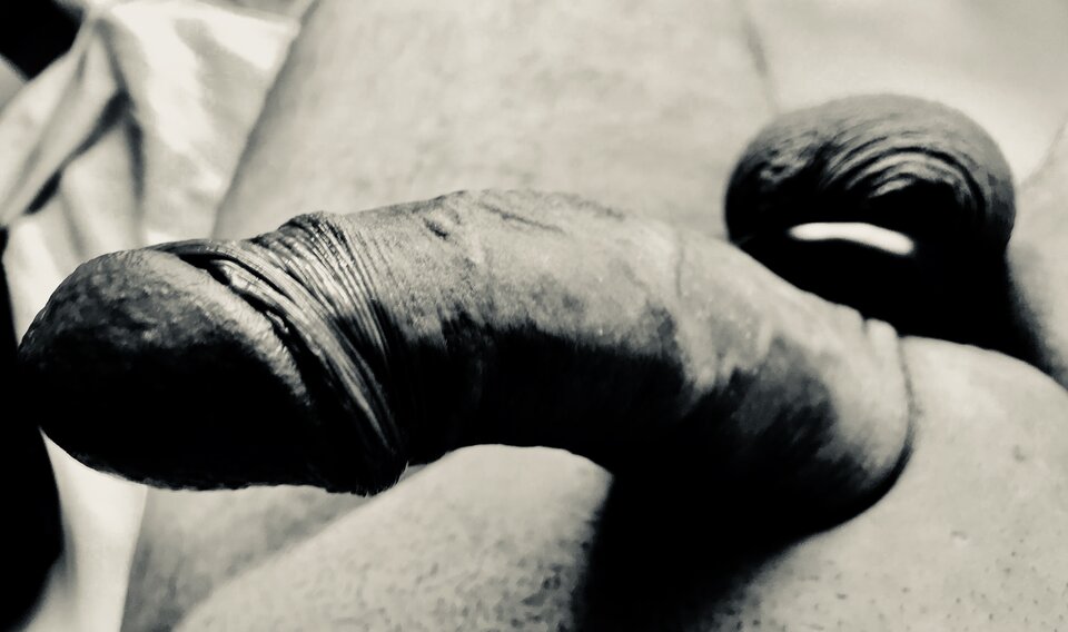 D50B0098-270F-4059-BCA7-DC6ABF20C99B.jpeg - Moechus71