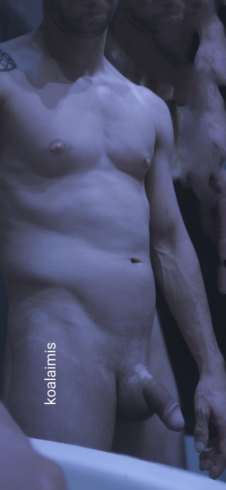 IMG_20210727_115048.jpg - koalaimis