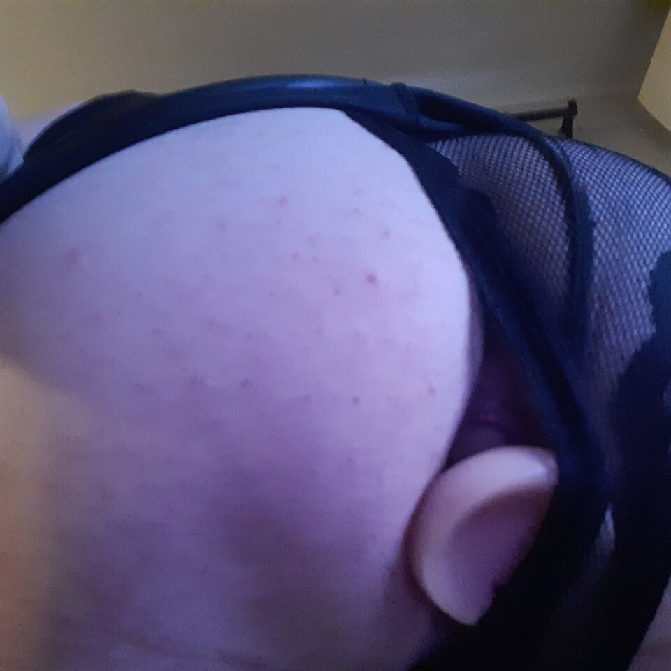 16274145921621902978033142119024.jpg - Palciusia