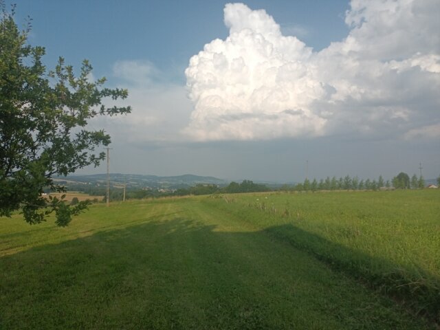 IMG_20210726_184310.jpg - CzornyDuzy