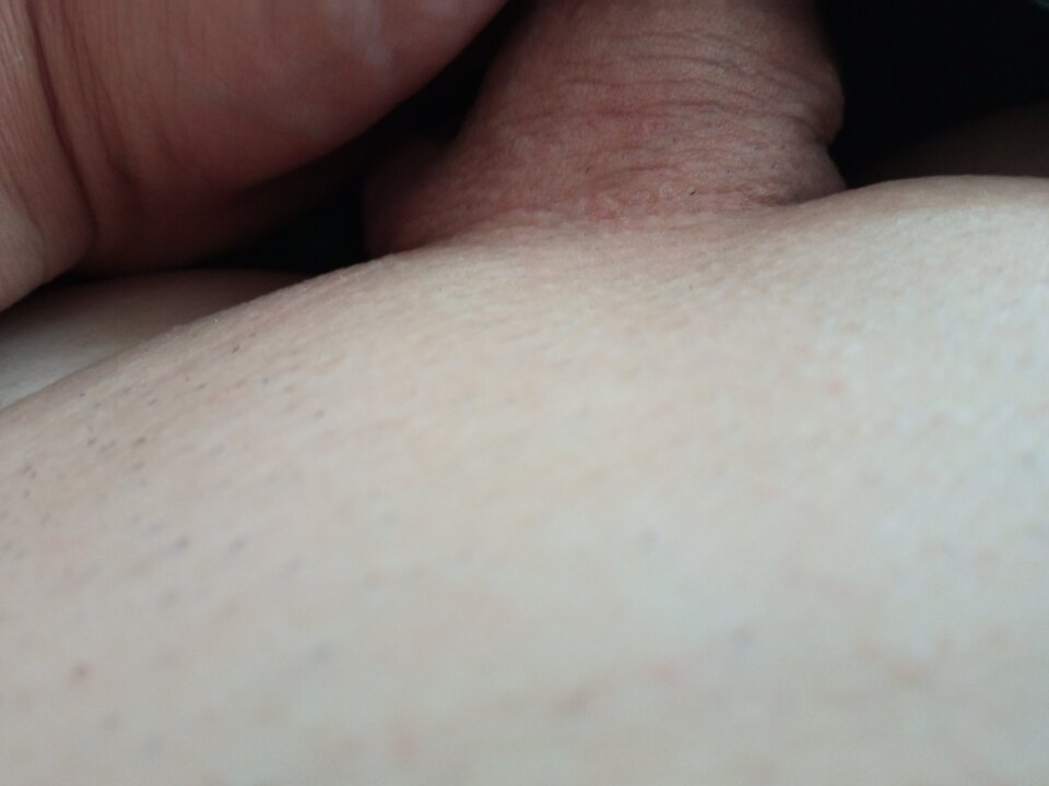 16274607391091662956541570652238.jpg - cobra575n