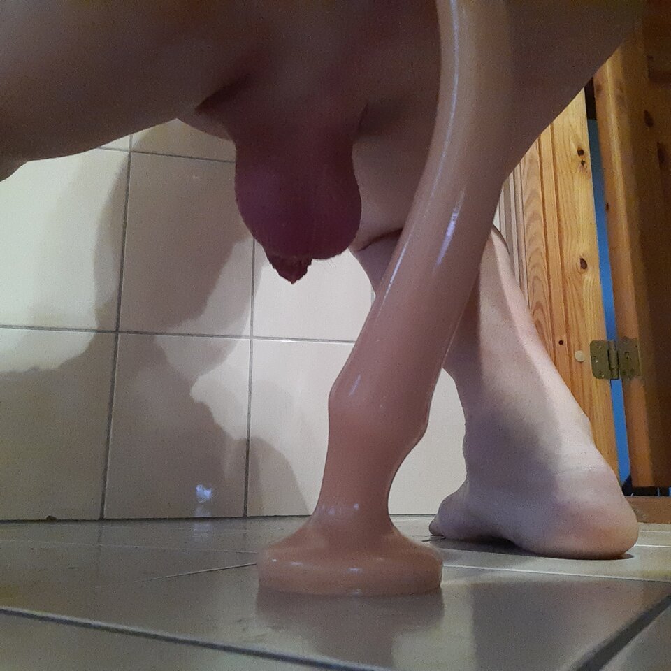 16274959333877336137849546860754.jpg - Palciusia