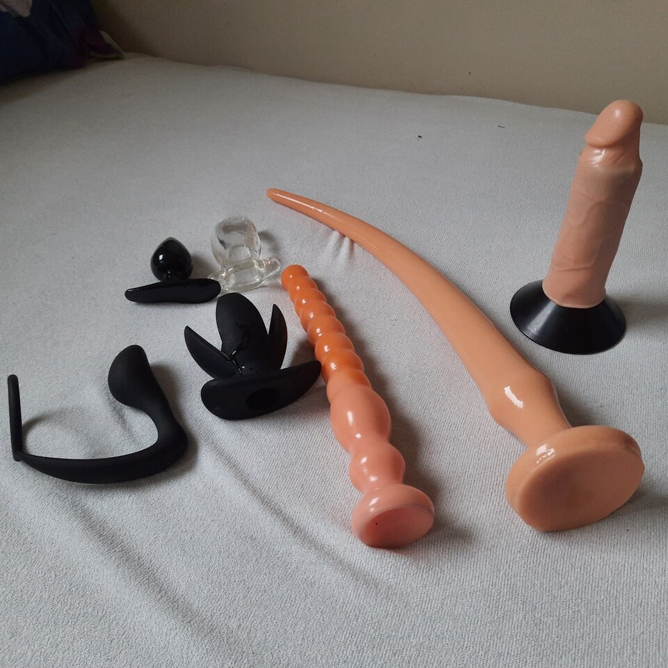 16274976696528432731322021896087.jpg - Palciusia