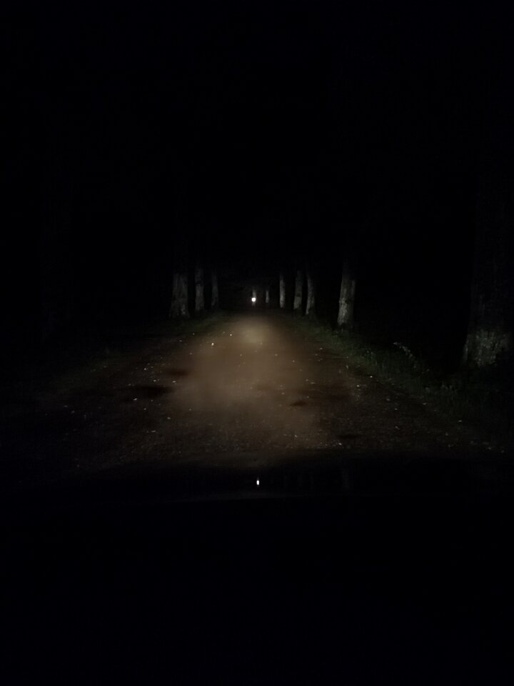 Mazurska droga nocą  - Gimlii73