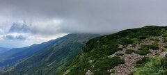 20210726_104655.jpg