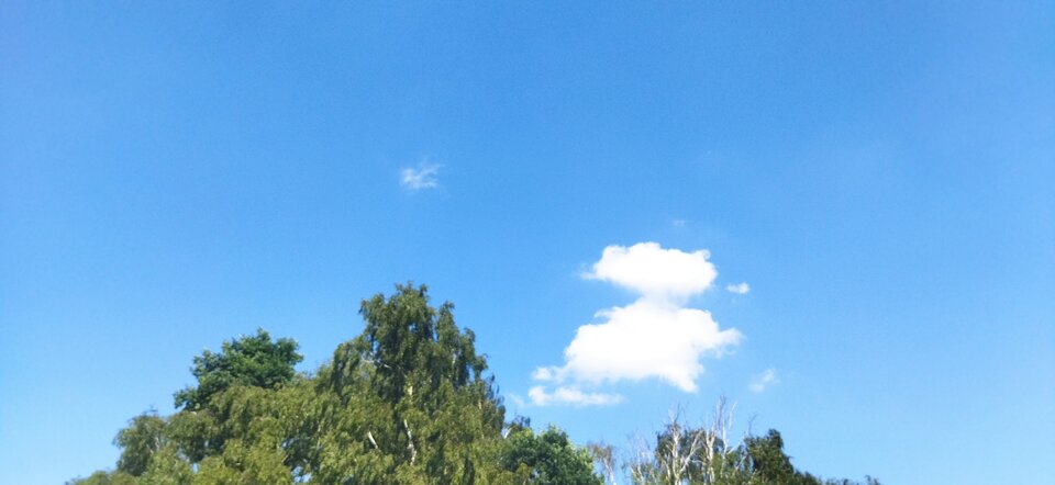 IMG_20210729_155018.jpg - MattVegass