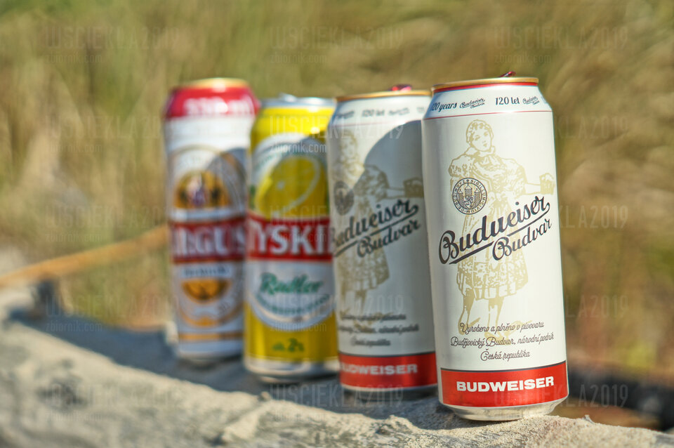 DSC00156.JPG - wsciekla2019