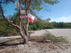 IMG 20210728 090523.jpg