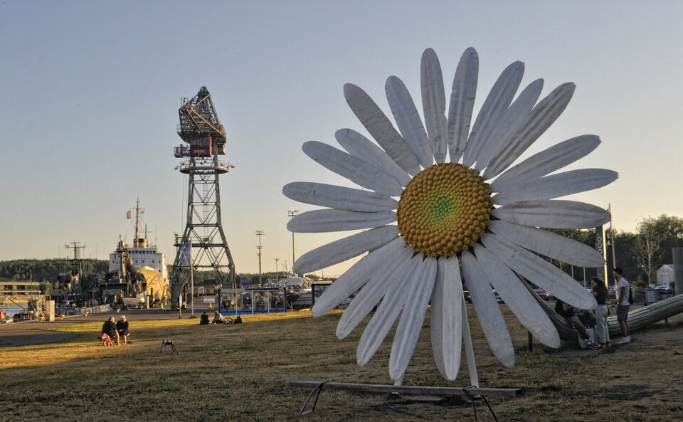 _DSC0065.JPG - mazi39