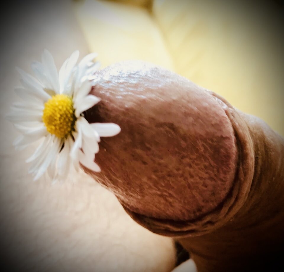 6982C762-C44F-4112-A2E1-0A31D962725B.jpeg - Moechus71