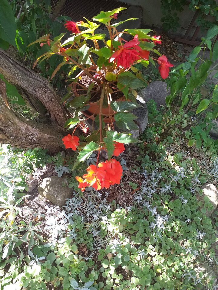 20210730_132046.jpg - WESOLAWDOWKA