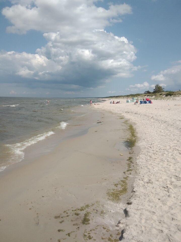 IMG_20210729_125844.jpg - Krzysk45