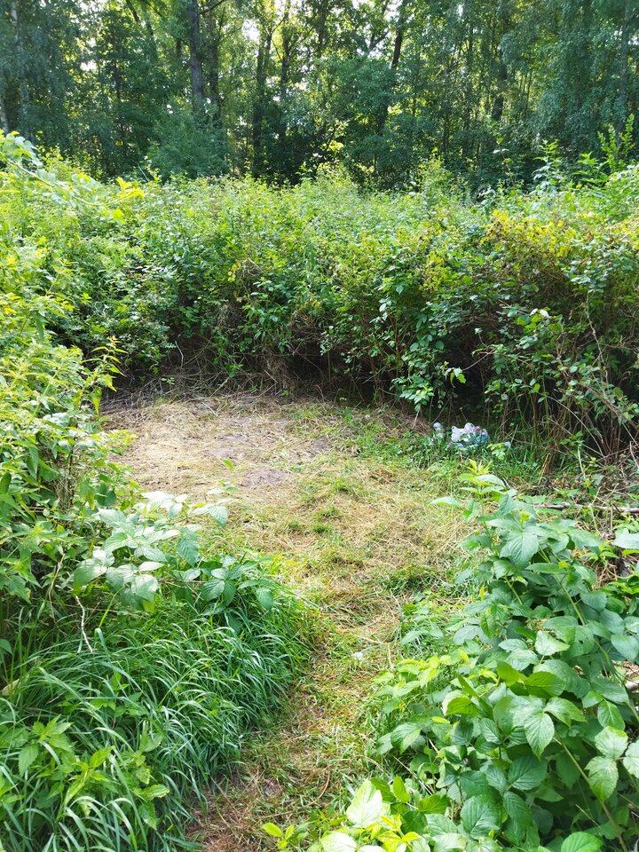 IMG_20210731_084114.jpg - dawid26xx