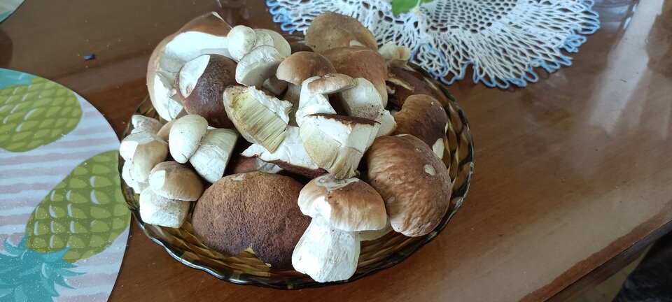 IMG20210731152027.jpg - CzornyDuzy