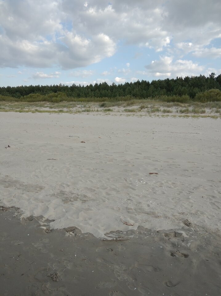 IMG_20210731_182358.jpg - Krzysk45