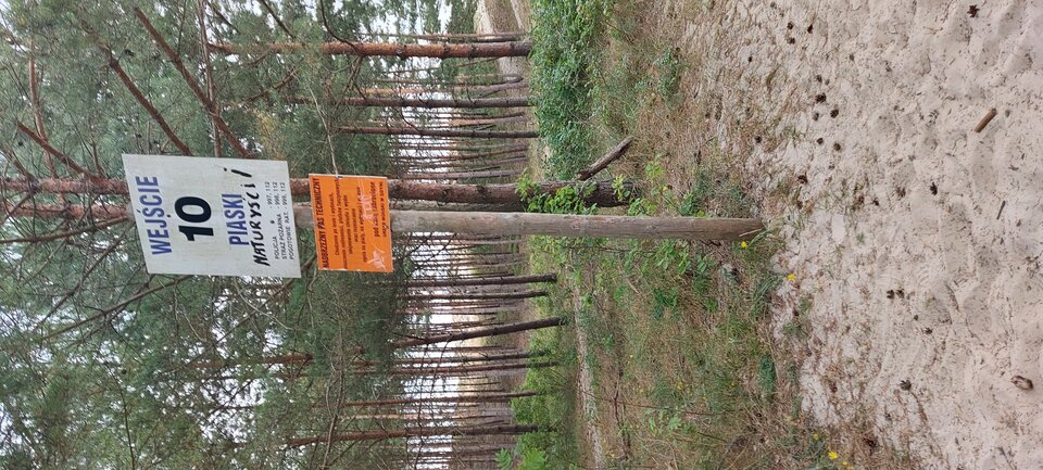 20210801_152302.jpg - Onlywy