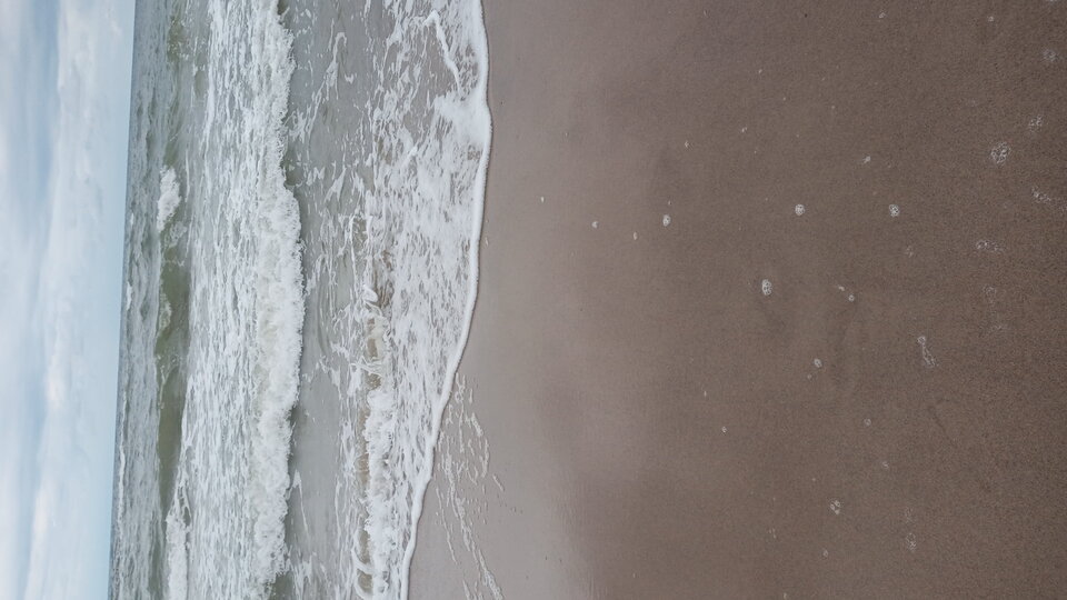 20210801_140904.jpg - Mrowka72