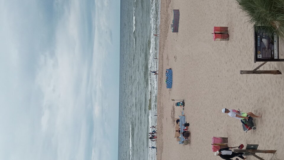 20210801_140718.jpg - Mrowka72